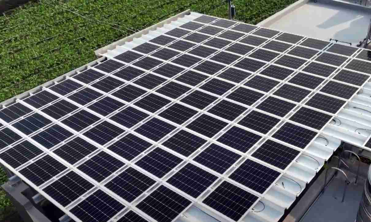 壹号平台SunSteel光电浪板升级双玻结构，，，，以提升机械负载强度及气候耐候度，，，，可广泛运用于多元场域